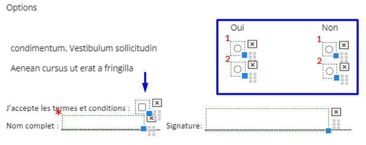 Exemple de boutons radio et d'une case à cocher